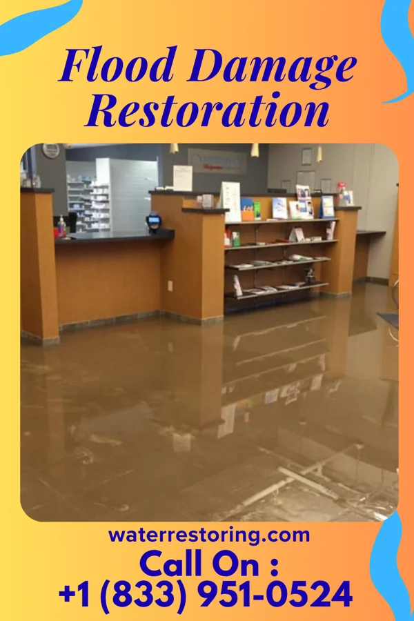 Flood Damage Restoration in McCormick, SC