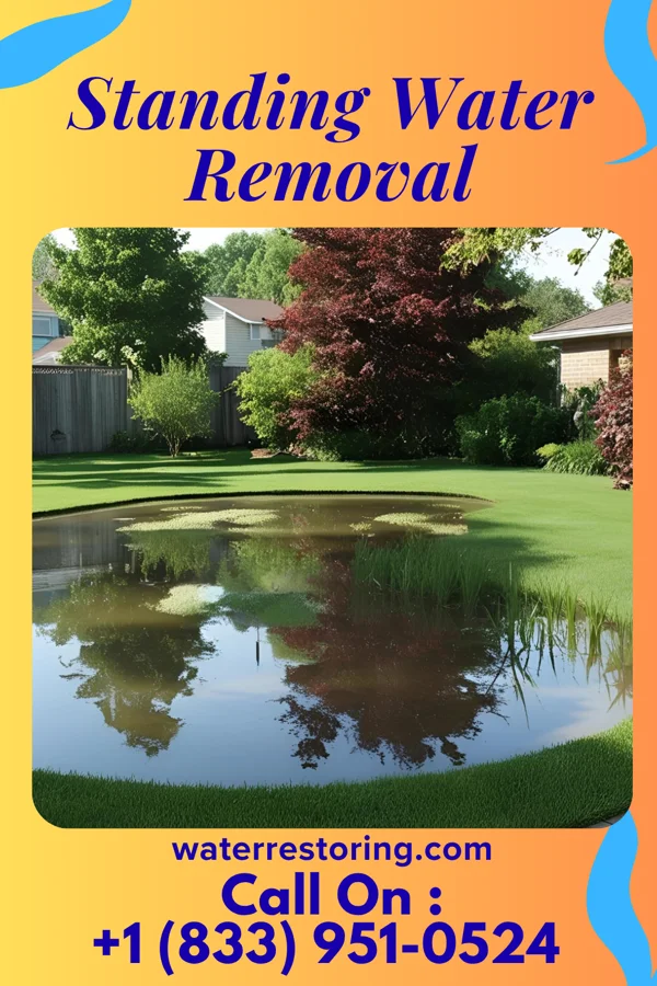 Standing Water Removal in McCormick, SC